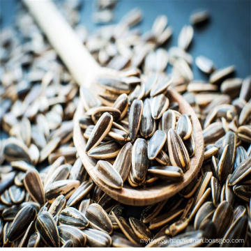 Inner mongolia common cultivation type of sunflower seeds